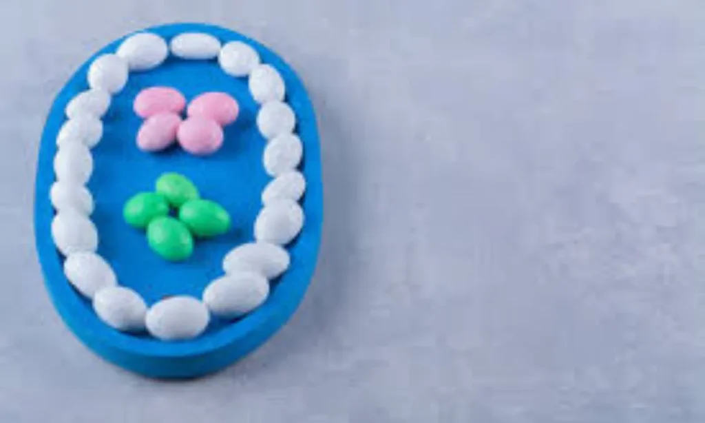 Neuro Gum Net Worth